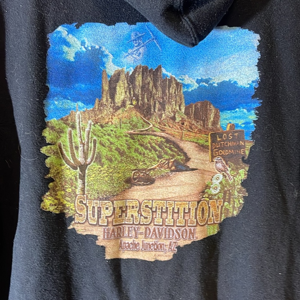 Authentic Harley Davidson Apache Junction Arizona Hoodie - Picture 5 of 5